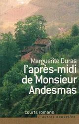 Couverture du livre l'après-midi de Mr Andesmas